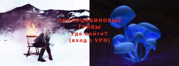 тгк Гатчина