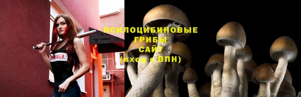 прущий лед Алексин