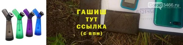 ГАЛЛЮЦИНОГЕННЫЕ ГРИБЫ Алзамай