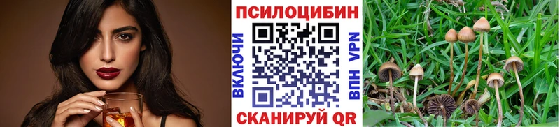 Псилоцибиновые грибы MAGIC MUSHROOMS  Поронайск 